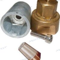 ANODE ARBRE RADICE 60MM