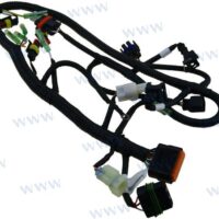 ECU CABLE