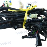 FAISCEAU MOTEUR DELFI Parsun