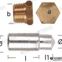 ANODE LOMBARDINI AVEC BOUCHON